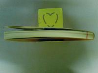 原色いもうと図鑑２　（レターパック発送）