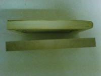 井手無一絵日記　