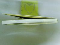 日本最南端　鉄道物語　記録と記憶の２９年