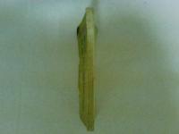 曲譜正確　琵琶歌集　江東倶楽部編