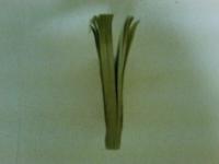 曲譜正確　琵琶歌集　江東倶楽部編