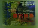 月刊秘伝　2015年3月号　特集（韓氏意拳という拳学）
