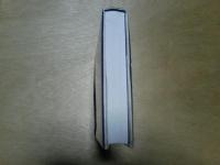 アンゲロプロス  沈黙のパルチザン