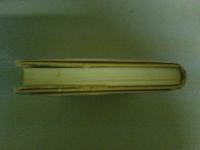 甦る霊たち　七〇〇年後の生まれ変わり