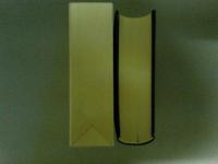 実験根本的健脳法　拡大復刻版