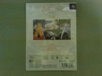 山口祥子　リトルヴィーナス　№６　DVD