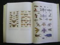 アルベルトゥス・セバ 著 『Cabinet of Natural Curiosities 』洋書　図鑑 図録　TASCHEN