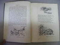 A BOOK OF UNICORNS　ブック・オブ・ユニコーンズ