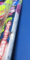 （日古109）ヤングマガジンアッパーズ1999年11月17日号　金子志乃、餓狼伝、牛肉丘咲賢作、RED
