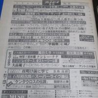 （日古111）週刊プレイボーイ1981年10月6日　萬田久子、朝加真由美、ナンシー・ナナ、日高のり子
