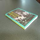 コティングリー妖精事件　イギリス妖精写真の新事実