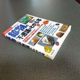 鉱物の不思議がわかる本　図解サイエンス