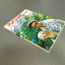 スイングジャーナル１９７４年６月号　ジャズの新しい鼓動＝”ブラック・ファンクの台頭”　他