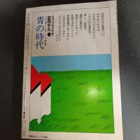 月刊漫画ガロ１９８０年７月号　ＮＯ．１９８