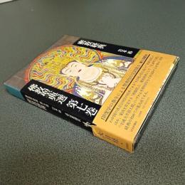 密教経典　佛教聖典選第７巻