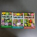 色で見分ける九州の野の花（全３巻揃）