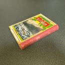 新譯ロビンソン漂流記譚（新譯奇談ロビンソンクルーソー）