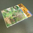 カラー図解　詳解　庭のつくり方