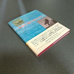 永遠の星の王子さま　サン＝テグジュペリの最後の日々