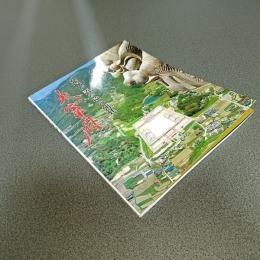 発掘が語る遠の朝廷　大宰府　図録