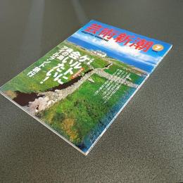 芸術新潮１９９８年７月号　大特集ケルトに会いたい！魂の島アイルランド旅行