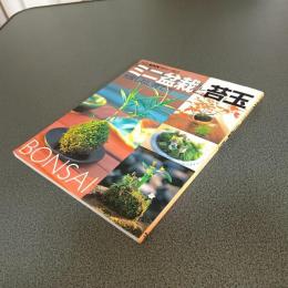ミニ盆栽と苔玉　失敗しない育て方　別冊ＮＨＫ趣味の園芸