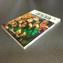 版画藝術Ｎｏ．８１　特集　版画と写真のあいだ　他