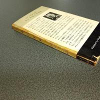 黒い金魚　ＨＡＹＡＫＡＷＡ　ＰＯＣＫＥＴ　ＭＹＳＴＥＲＹ　ＢＯＯＫＳ　Ｎｏ．１７２