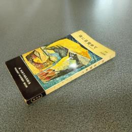 夜に目覚めて　ＨＡＹＡＫＡＷＡ　ＰＯＣＫＥＴ　ＭＹＳＴＥＲＹ　ＢＯＯＫＳ　Ｎｏ．３３９