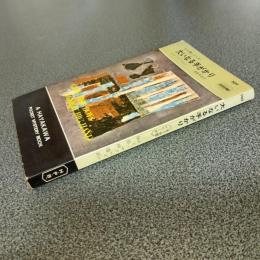 大いなる手がかり＜８７分署シリーズ＞　ＨＡＹＡＫＡＷＡ　ＰＯＣＫＥＴ　ＭＹＳＴＥＲＹ　ＢＯＯＫＳ　Ｎｏ．５９９