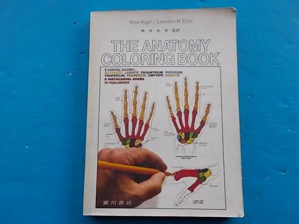 カラースケッチ 解剖学 The Anatomy Coloring Book 77 Londonの翻訳 初版1刷 W Kapit L M Elson著 嶋井和世訳 古本 雪山坊 古本 中古本 古書籍の通販は 日本の古本屋 日本の古本屋