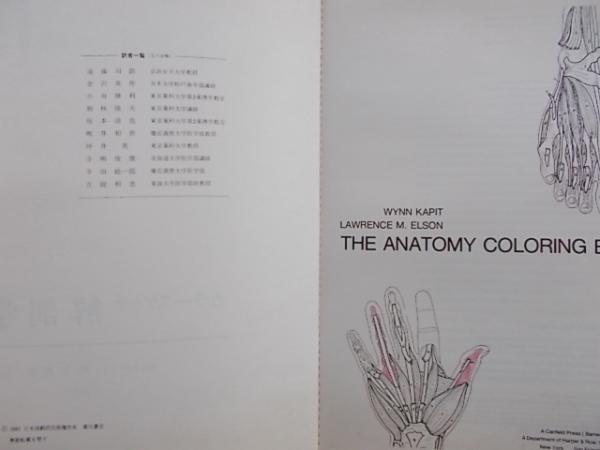 カラースケッチ 解剖学 The Anatomy Coloring Book 77 Londonの翻訳 初版1刷 W Kapit L M Elson著 嶋井和世訳 古本 雪山坊 古本 中古本 古書籍の通販は 日本の古本屋 日本の古本屋