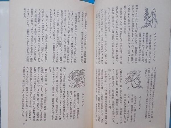 薬草健康法 正しい採取と利用法をイラスト入りで解説 井波一雄 古本 雪山坊 古本 中古本 古書籍の通販は 日本の古本屋 日本の古本屋