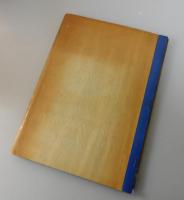 東支那海のサバはね釣漁况