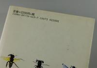 クレイジー・ダイアモンド/シド・バレット（ピンク・フロイド）