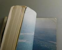 森の航跡：アマゾン野生紀行