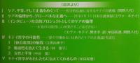 ケアの倫理からはじめる正義論 ：支えあう平等