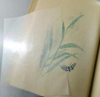 歌集ふるさと（限定80部）