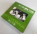 続にっぽん劇場写真帖：Japan, a Photo TheaterⅡ