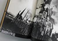 三里塚：燃える北総台地 
document1966-71：三留理男・報告・写真集