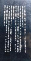 小さな巨人 : 大沢昇伝