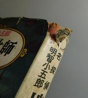 地獄の道化師：名探偵明智小五郎⑨