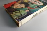 地獄の道化師：名探偵明智小五郎⑨
