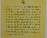 リキッド・モダニティを読みとく