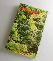 青春の倫理