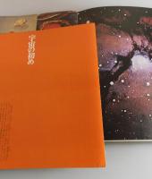天地創造計画：レコードジャケットによる瞑想
