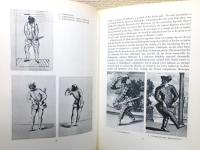 The world of Harlequin : a critical study of the Commedia dell'arte