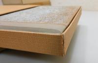 小説・天才の歌（限定150部）