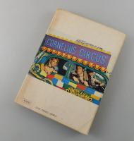 華麗なる大泥棒