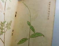ムサシノに於ける雑草圖譜